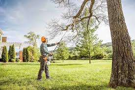 How Our Tree Care Process Works  in  Tomball, TX